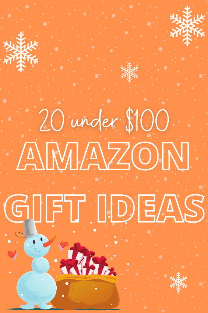 20 under 100 Amazon Gift Ideas Vannie's Home